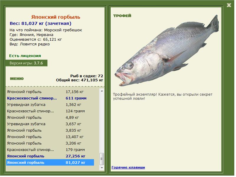 Нирвана 