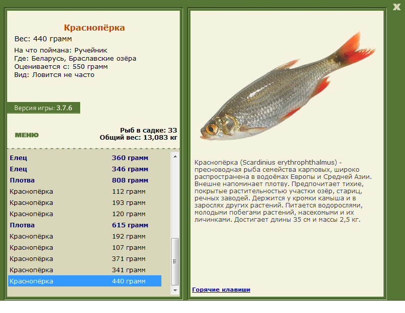 РУССКАЯ РЫБАЛКА Installsoft Edition 