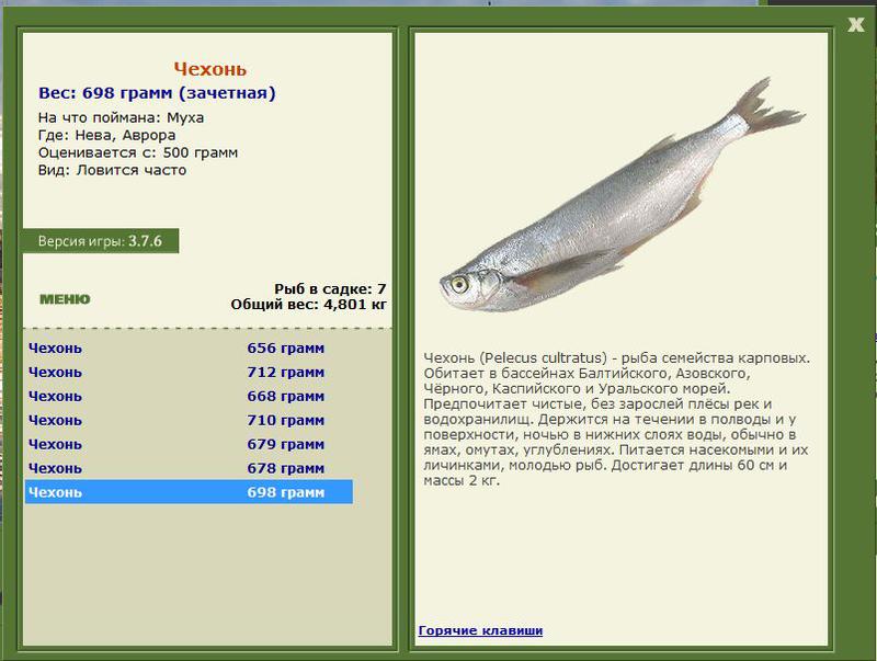 РУССКАЯ РЫБАЛКА Installsoft Edition 