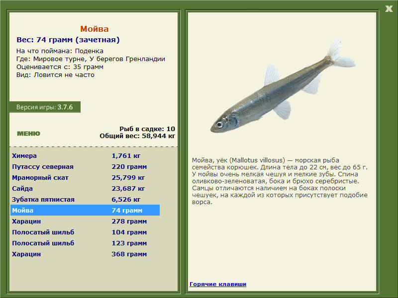 Мировое турне 