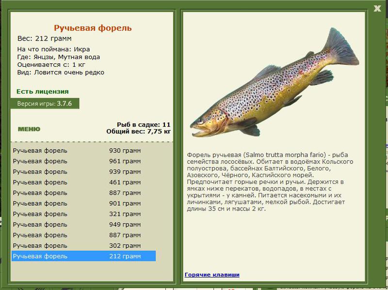 РУССКАЯ РЫБАЛКА Installsoft Edition 