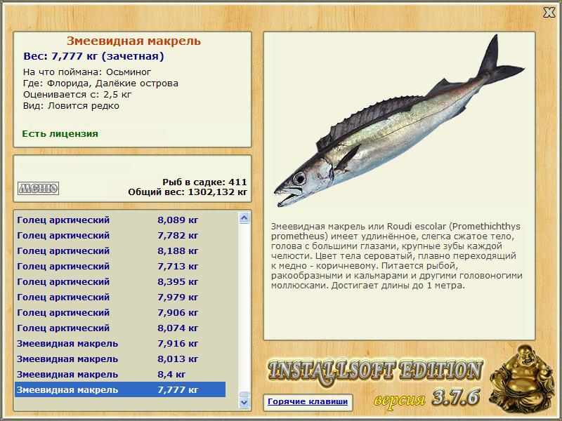 турниры • РУССКАЯ РЫБАЛКА