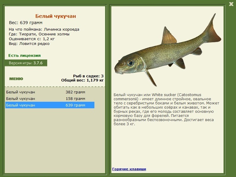 Осенние холмы 