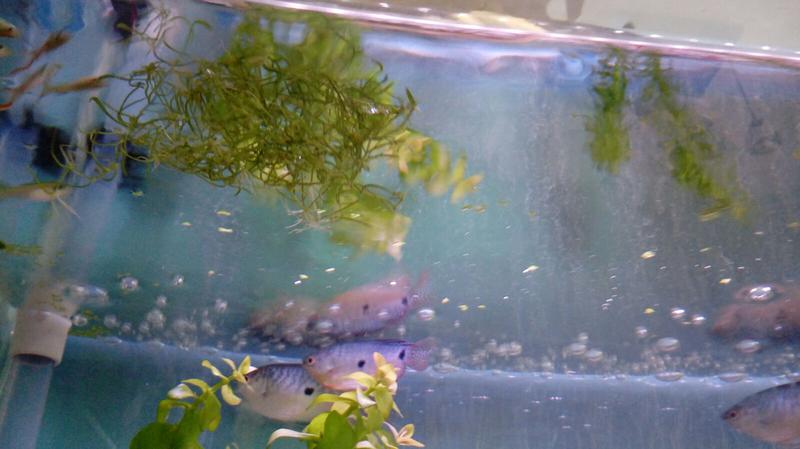  Начать новую тему