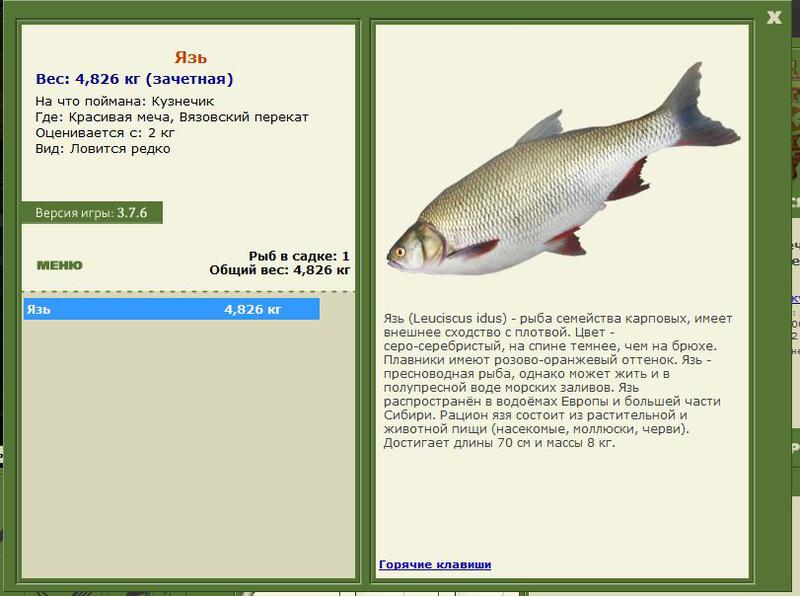РУССКАЯ РЫБАЛКА Installsoft Edition 