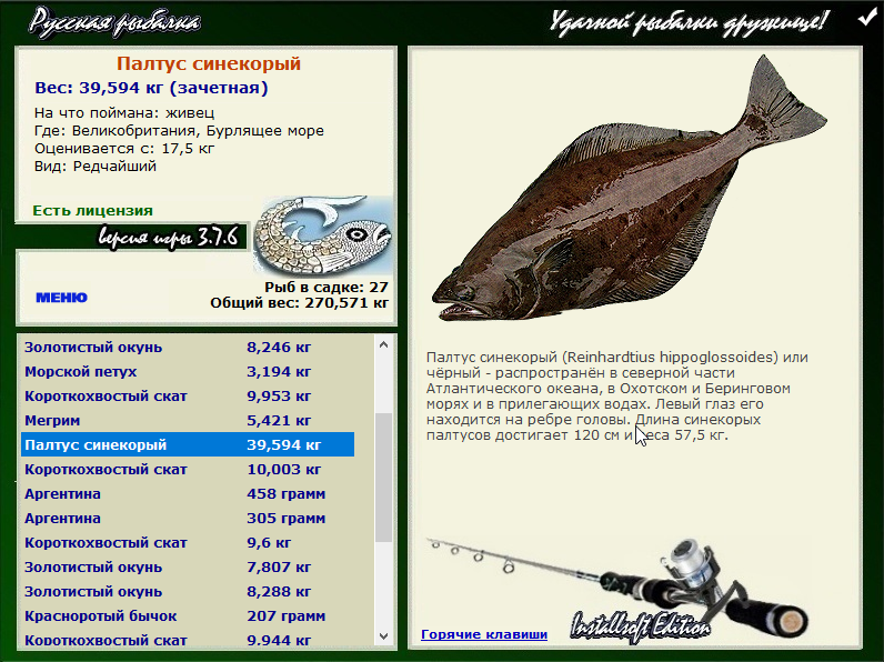 Бурлящее море 