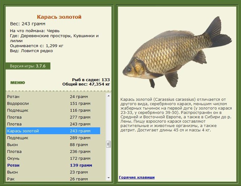 турниры • РУССКАЯ РЫБАЛКА