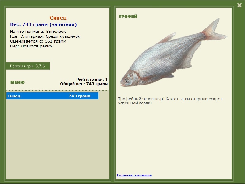 Синец 