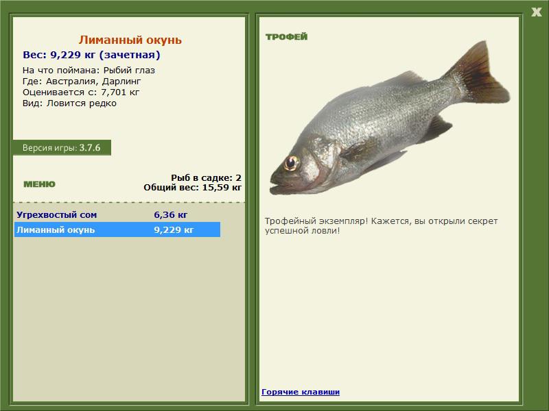 Лиманный окунь 