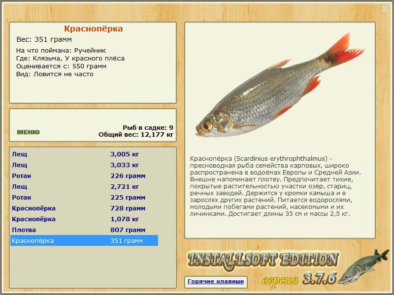 У красного плёса 