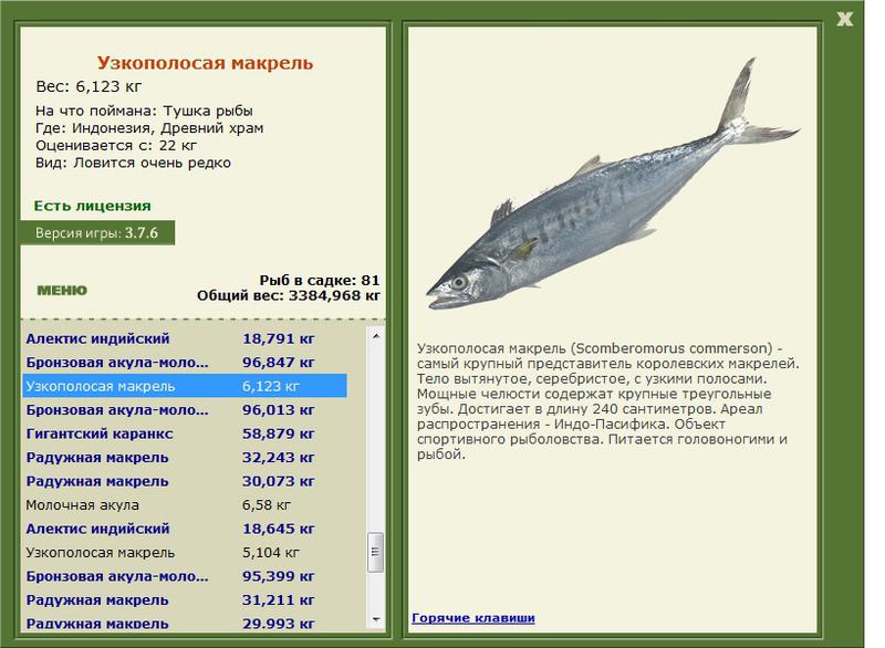 турниры • РУССКАЯ РЫБАЛКА