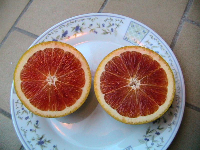 Коробейники 