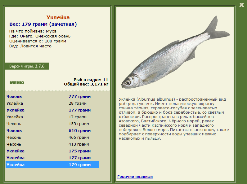Онежская осень 