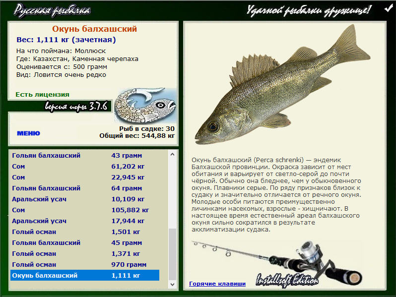 турниры • РУССКАЯ РЫБАЛКА