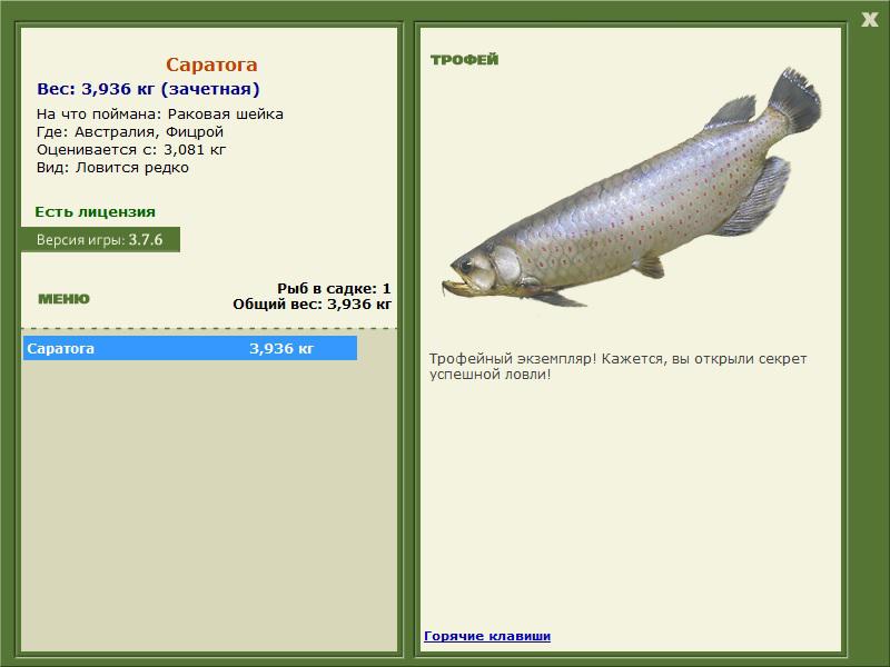 Фицрой 