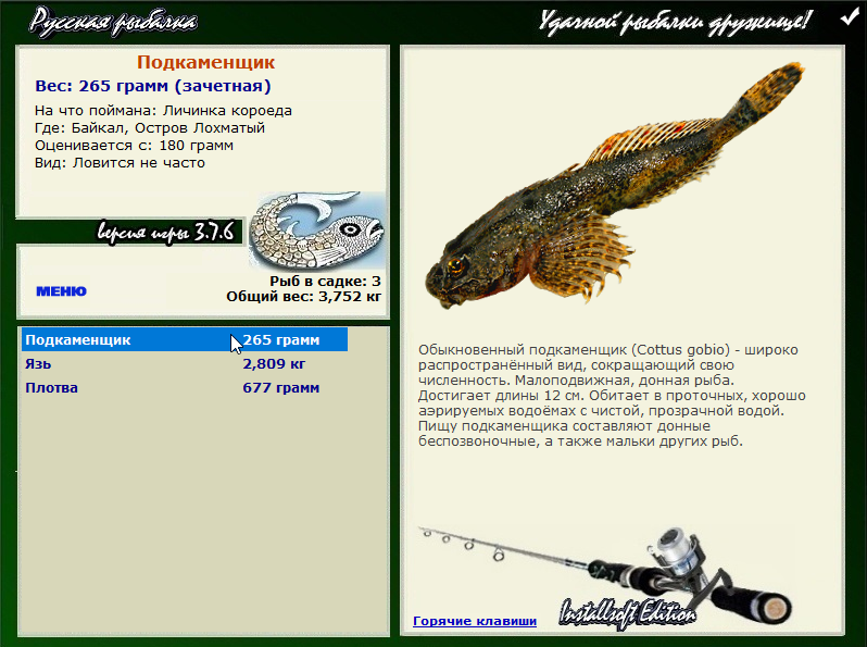 Остров Лохматый 