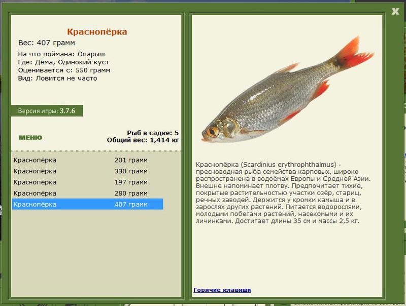 РУССКАЯ РЫБАЛКА Installsoft Edition 