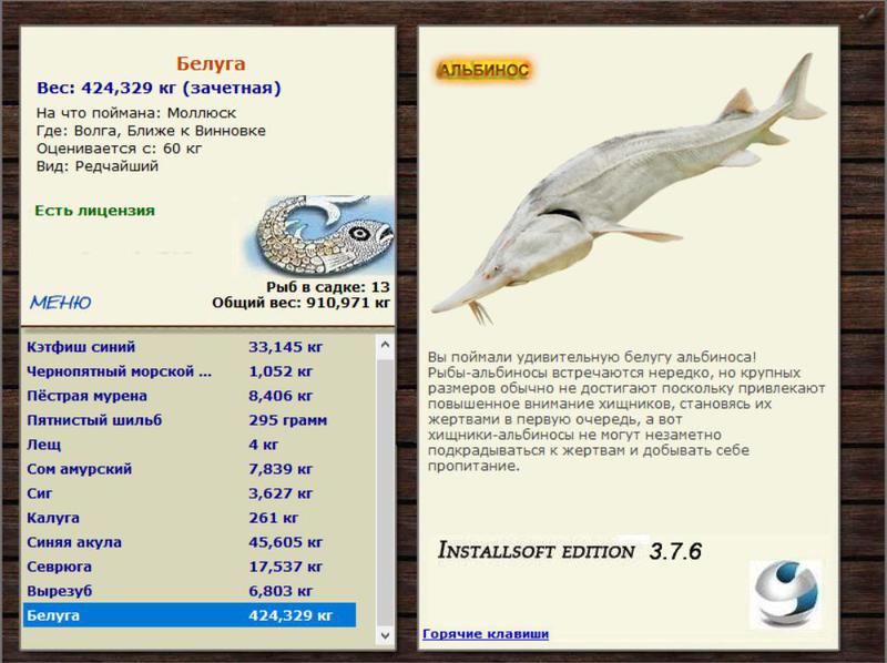 Ближе к Винновке 