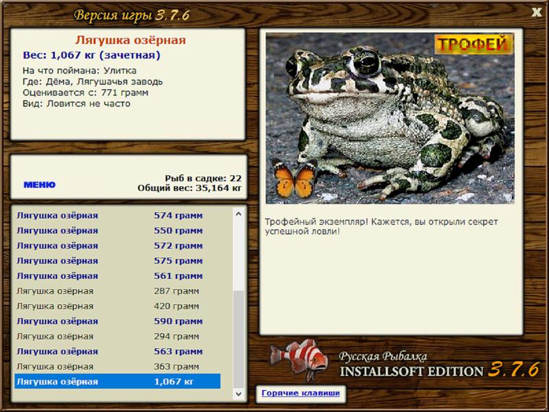 Лягушачья заводь 