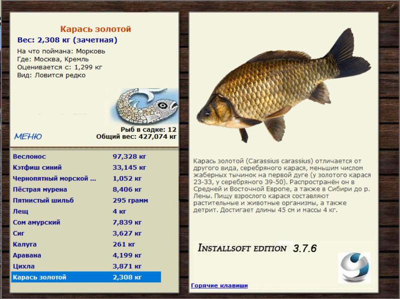 Кремль 