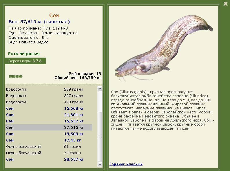 Земля каракуртов 