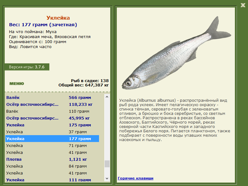 Вязовская петля 