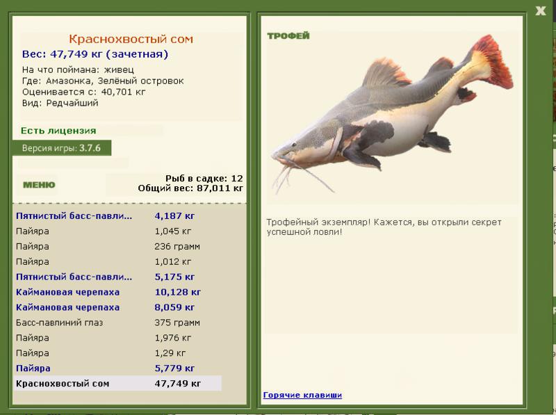 Зелёный островок 