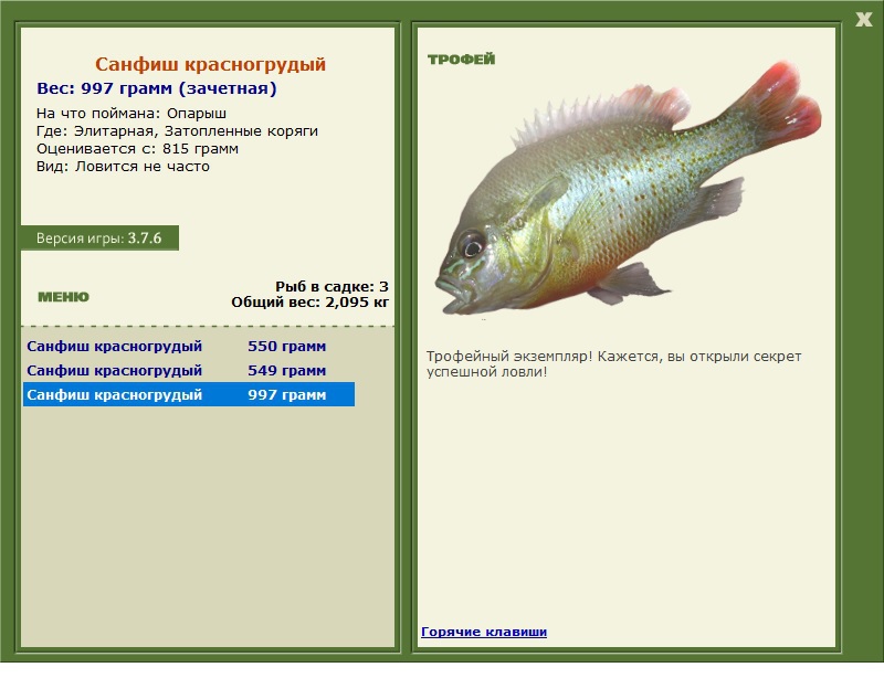 Санфиш красногрудый 