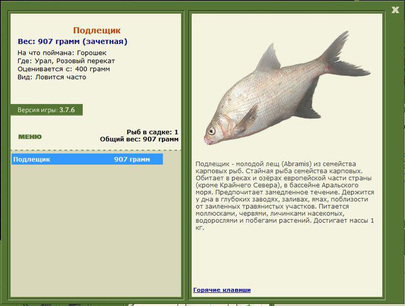 РУССКАЯ РЫБАЛКА Installsoft Edition 