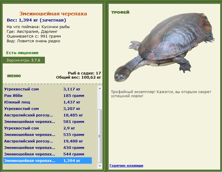 турниры • РУССКАЯ РЫБАЛКА