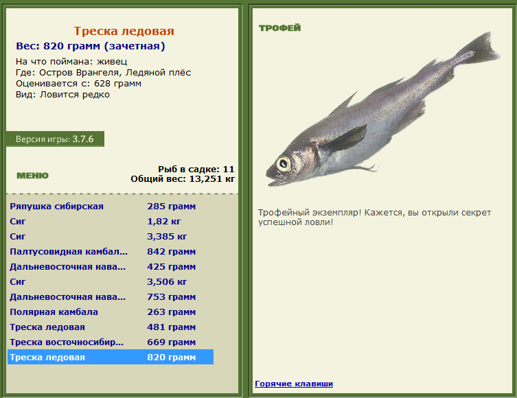 турниры • РУССКАЯ РЫБАЛКА