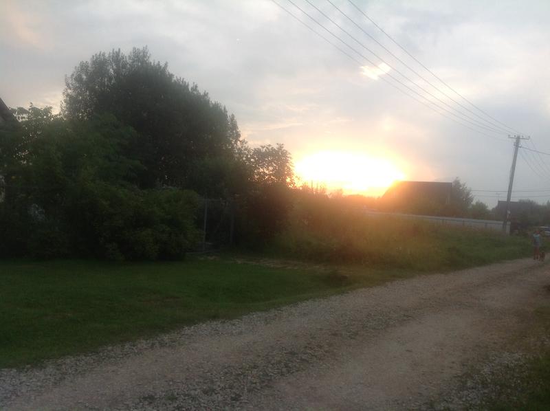 Тренировочная тема