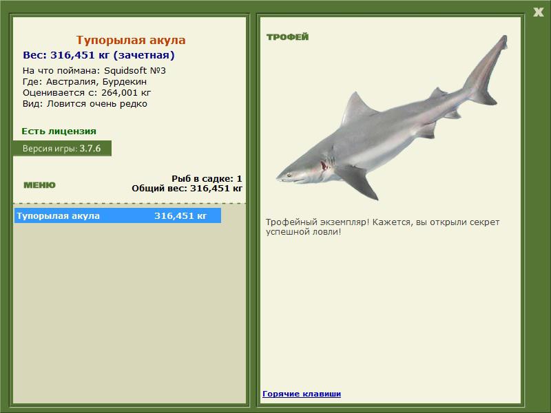 Бурдекин 