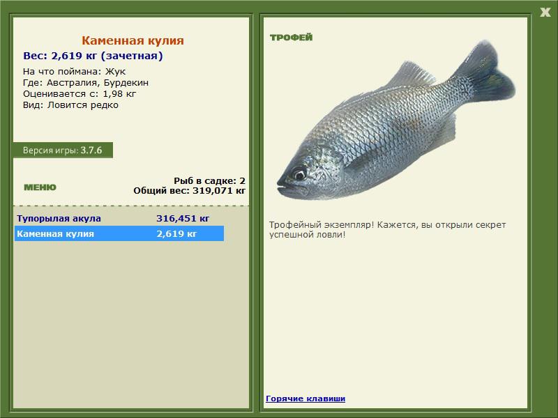 Бурдекин 
