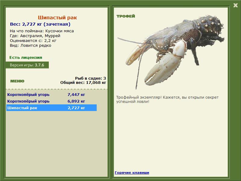 Муррей 