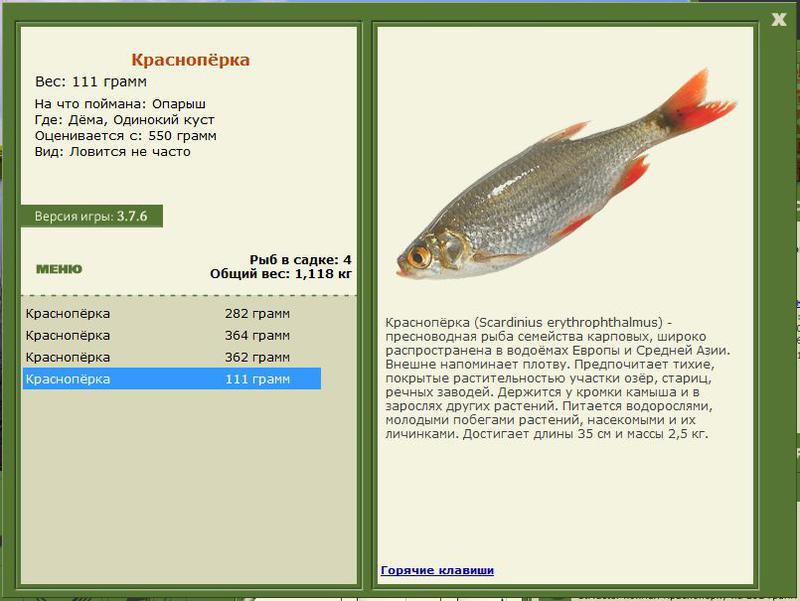 РУССКАЯ РЫБАЛКА Installsoft Edition 