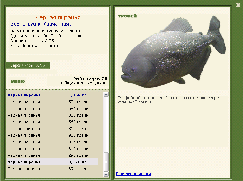 Чёрная пиранья 