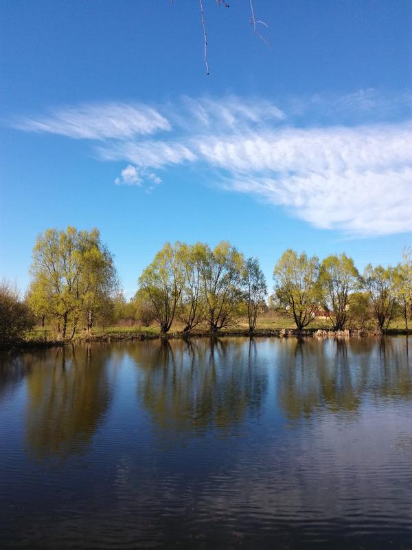 Тренировочная тема