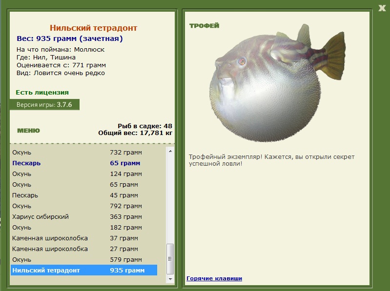 Тишина 