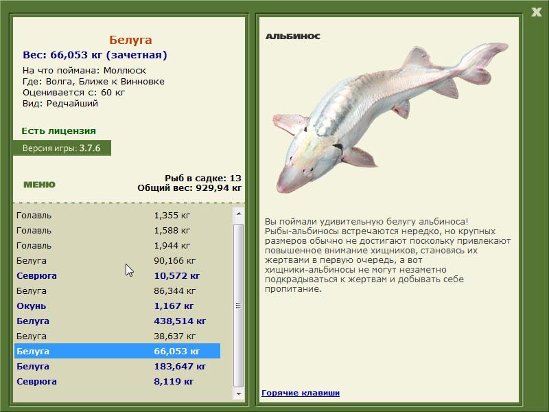 Ближе к Винновке 