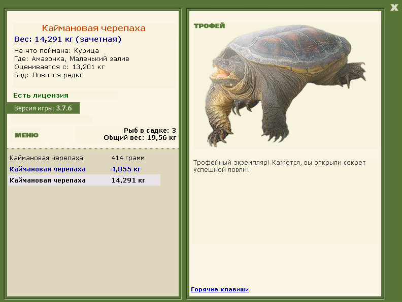 Каймановая черепаха 