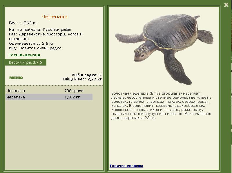 турниры • РУССКАЯ РЫБАЛКА
