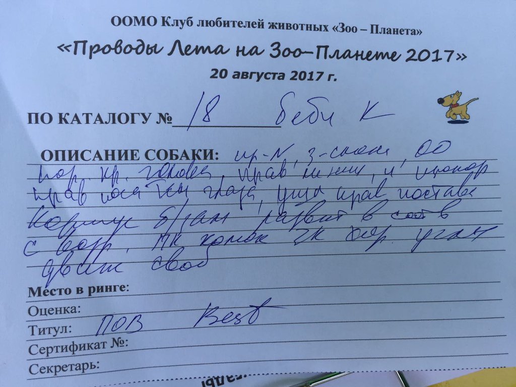 Изображение