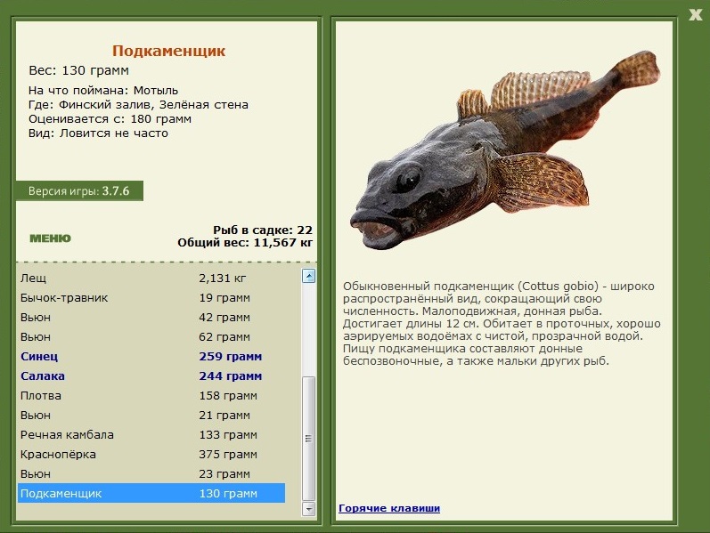 Ловля бычка на спиннинг. Часть 2 - Спортивное рыболовство