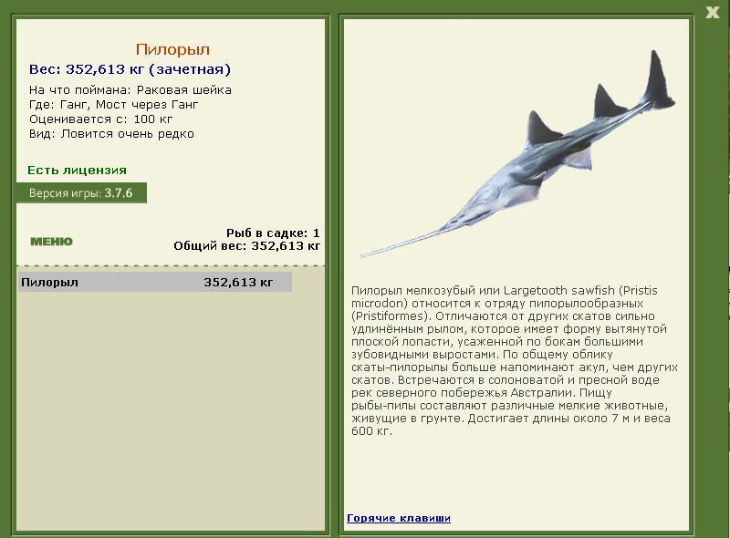турниры • РУССКАЯ РЫБАЛКА