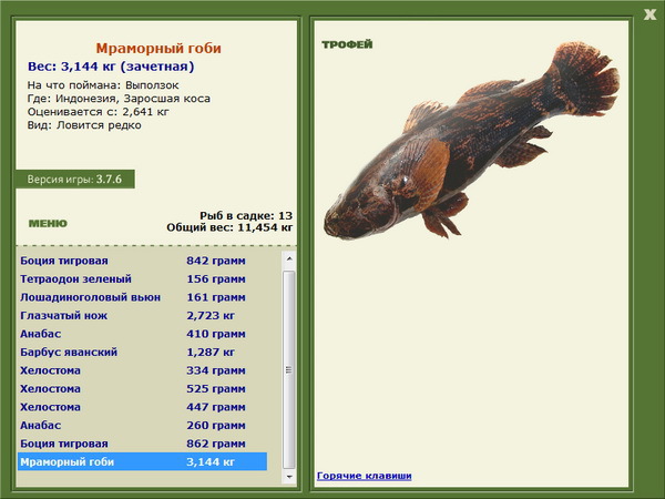 РУССКАЯ РЫБАЛКА Installsoft Edition 