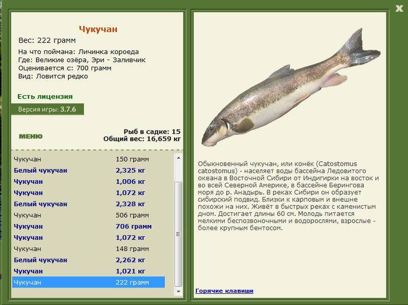 РУССКАЯ РЫБАЛКА Installsoft Edition 