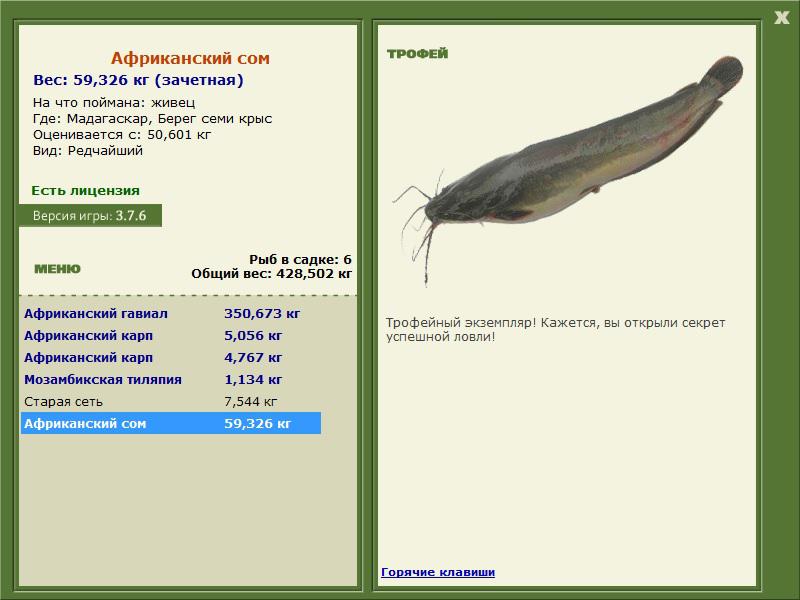 Берег семи крыс 