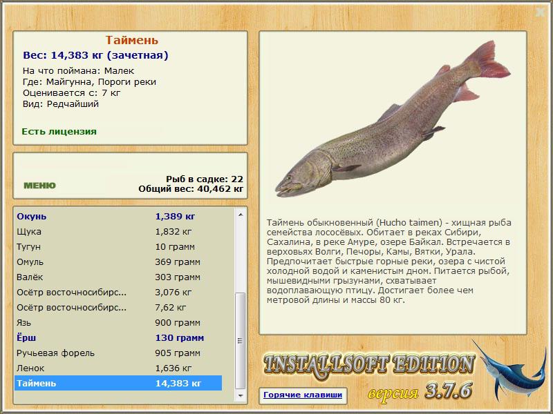 турниры • РУССКАЯ РЫБАЛКА