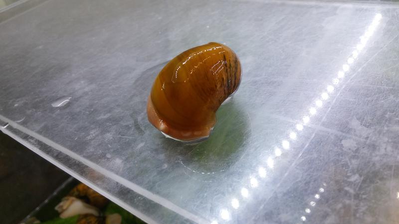  Начать новую тему